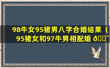 98牛女95猪男八字合婚结果（95猪女和97牛男相配婚 🐯 姻 🐧 如何）